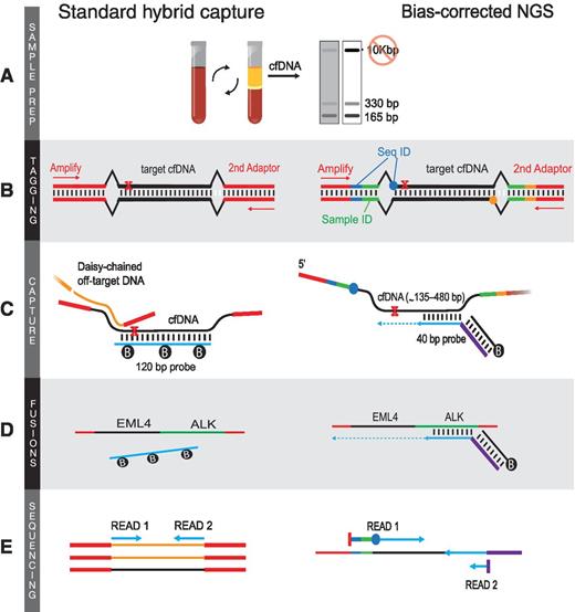 BiasCorrected Targeted NextGeneration Sequencing for Rapid