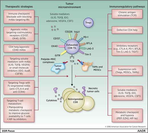 Reversing T-cell Dysfunction and Exhaustion in Cancer | Clinical Cancer ...