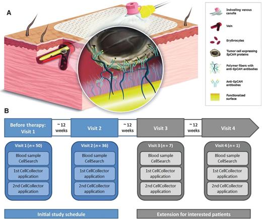 Figure 1. A, schematic overview of the wire and the in vivo application. The wire is coated with anti-EpCAM antibodies and placed into the arm vein of cancer patients for 30 minutes. During the application EpCAM-positive cells bind to the device. Afterward, the tumor cells are stained for EpCAM and keratins. Nuclear counterstain is done using Hoechst33342. CD45 staining is necessary to classify false positive events (leukocytes). B, schematic overview of the study design. The schedule of the study was designed with the first visit directly before therapy initiation and the second visit 12 weeks after treatment started. Patients had the opportunity to have additional CTC investigations at a third and fourth visit (always after a 12-week period in between). Patients underwent the same CTC investigation procedures at each visit (7.5 mL blood draw for CellSearch analysis and two wire applications).