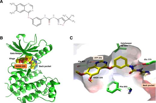 Figure 1. The predicted binding mode of RXDX-105 with RET. A, Chemical structure of RXDX-105. B and C, Predicted binding mode by modeling.