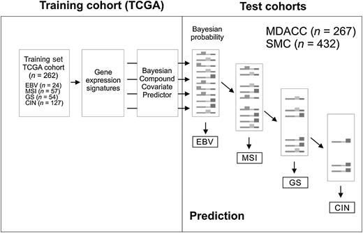 Figure 3. Schematic diagram of TCGA project prediction model. A decision tree approach was employed for categorizing patients in test cohorts into the four subtypes of gastric cancer according to the Bayesian probability of each predictor.