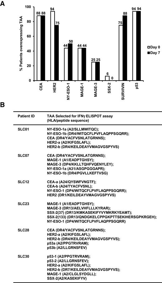 Figure 2. TAA expression profiles in NSCLC patients and HLA-restricted synthetic peptides of TAA used for IFNγ ELISPOT assay. A, Lung tumor biopsy for 16 patients was performed on day 0 and day 7 after the vaccine administration, and TAA expression profiles were determined by qPCR using the tumor antigen panel as described in Materials and Methods. Overexpression of TAA was defined as an expression of more than 100 gene copies per 106 β-actin gene copies. Percentage of patients that overexpress each TAA were shown. B, Patients' HLA-matched TAA-derived synthetic peptides were selected and added to the 96-well plate of IFNγ ELISPOT assay. Six of 16 patients showed immune responses to TAA-specific IFNγ production.