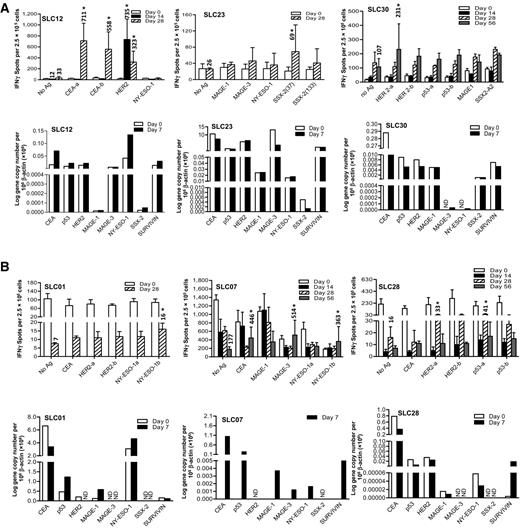 Figure 3. Immunologic responses to vaccination. PBMCs were collected pre- and postvaccination and were cocultured with patient's HLA-matched peptides and derived from TAAs for 24 hours to monitor immune responses by IFNγ ELISPOT assay as described in Materials and Methods. A and B, Six of 16 patients showed vaccine-dependent response to IFNγ production. B, Three of 6 responders (SLC01, SLC07, and SLC28) had a high response with TAA nonspecific and vaccine-independent IFNγ production at baseline that declined after vaccination yet met criteria for TAA-specific and vaccine-dependent immune responses. Profiles of TAA for each patient are shown in the bottom panel.