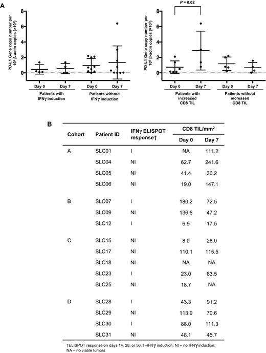 Figure 4. Association between PD-L1 expression and IFNγ ELISPOT assay response or CD8+ T-cell infiltration into tumor. A, Left, PD-L1 gene copy numbers were compared between patients with (n = 4) and without (n = 9) IFNγ induction on days 0 and 7 after vaccine administration; right, PD-L1 gene copy numbers were compared between patients with (n = 4) and without (n = 9) tumoral infiltration of CD8+ T cells on day 0 and day 7 after vaccine administration. B, A summary of IFNγ ELISPOT assay response on day 14, 28, or 56 after vaccine administration, and tumoral infiltration of CD8+ T cells on day 0 and day 7 after vaccine administration. Results are shown from a total of 16 patients.