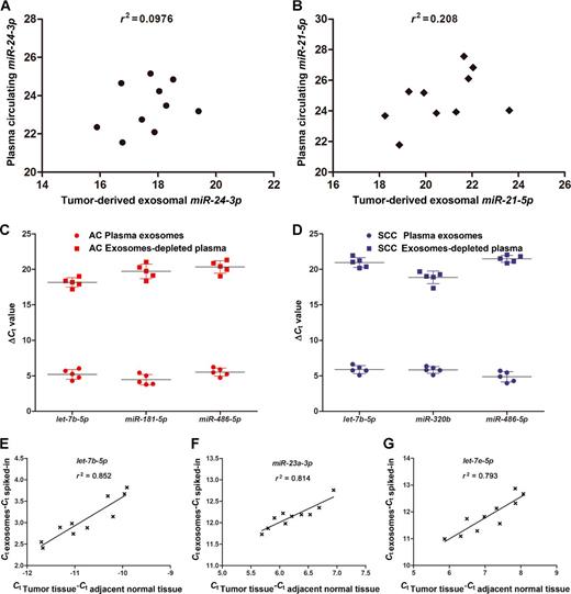 Figure 3. The correlation of tumor-derived exosomal and circulating plasma (A) miR-24-3p and (B) miR-21-5p expression. Normalized Ct values from plasma tumor-derived exosome (x-axis) and circulating plasma (y-axis) miRNAs are plotted for all ten samples. The relative expression of let-7b-5p, miR-181-5p, and miR-486-5p in adenocarcinoma (AC; C) and let-7b-5p, miR-320b, and miR-486-5p in SCC (D) were evaluated as the difference in threshold cycle number between exosomes and exosomes-depleted supernatants of plasma. One numeric difference in ΔCt represents a 2-fold difference in the amount of validated miRNAs (ΔCt: Ct single sample miR − Ct single sample cel-miR-39). The expression correlation through normalized Ct value comparison in neoplastic vs. normal tissues-derived and exosome-derived let-7b-5p (E), miR-23a-3p (F), and let-7e-5p (G).