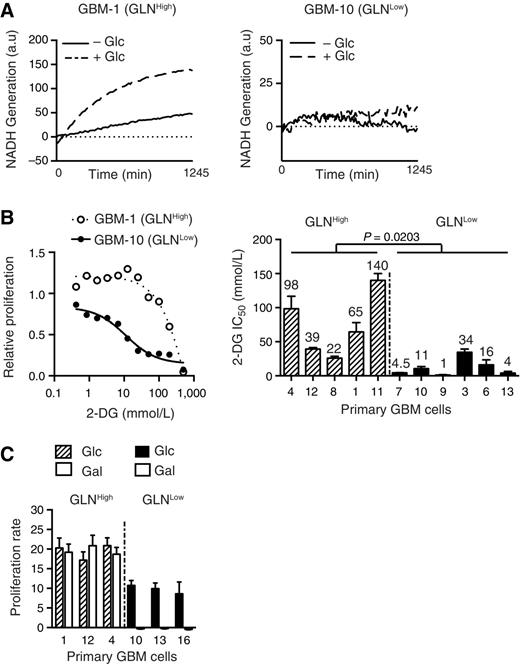 Figure 3. Glucose dependency of GLNHigh and GLNLow cultures. A, NADH generation overtime from glutamine metabolism in absence (solid line) or in the presence of 0.5 mmol/L glucose (dashed line) in GLNHigh GBM-1 (left) and GLNLow GBM-10 cells (right; mean of triplicate). B, Glucose dependency of primary GBM cultures. Cell proliferation was assessed over 48 hours in the presence of increasing amounts of 2-DG. Dose–response curves of GLNHigh GBM-1 and GLNLow GBM-10 cells (left panel; mean of 3 independent experiments) and 2-DG IC50 of all primary GBM cells (right). GLNHigh cells are indicated as dashed bars and GLNLow cells as plain bars. Mean value is indicated on top of each bar (mean ± SD; n ≥ 3, t test analysis). C, Proliferation of 3 GLNHigh (dashed bars) and 3 GLNLow (plain bars) primary GBM cells in the absence of glucose after 4 weeks of cell adaptation to galactose. Cell proliferation was assessed over time in the presence of either glucose only (black) or galactose only (white) after 72 hours by Trypan blue exclusion (mean ± SD; n ≥ 3).