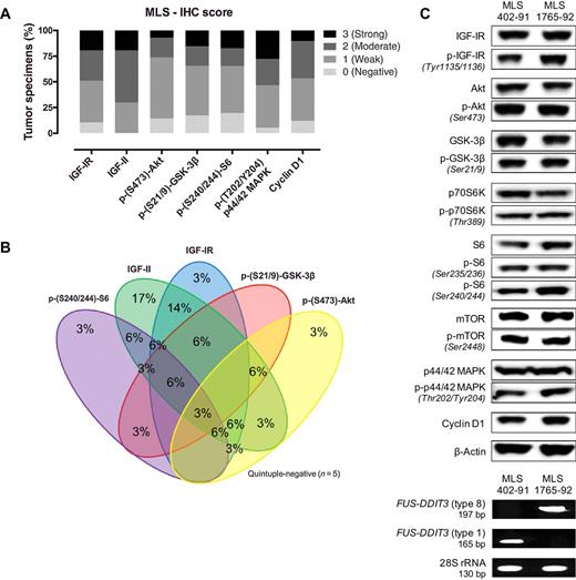 FUS–DDIT3 Fusion Protein-Driven IGF-IR Signaling is a Therapeutic ...