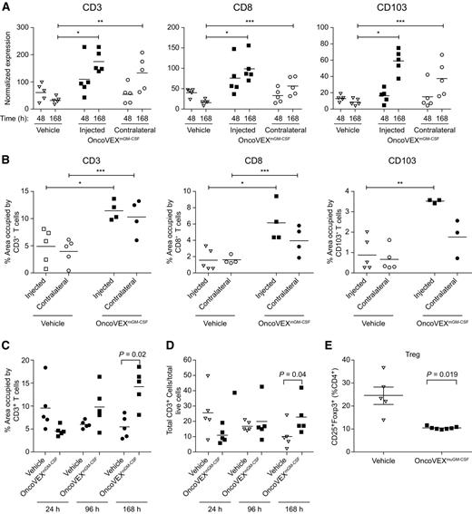 Figure 4. OncoVEXmGM-CSF increases immune cells in both injected and contralateral tumor. A, Relative expression of CD3E, CD8A, and CD103 (ITGAE) was analyzed from vehicle-injected and OncoVEXmGM-CSF-injected and corresponding contralateral tumors. Gene expression analysis detects increased infiltration into both OncoVEXmGM-CSF-injected and contralateral tumors at 168-hour time points, compared with vehicle-injected tumors. Gene expression analysis is representative of two independent experiments with n = 5/group. B and C, Morphometric analysis of A20 tumor serial sections by IHC. A20 tumor sections from OncoVEXmGM-CSF (single dose of 5 × 106 PFU) and vehicle control mice 168 hours (or as indicated in Fig. 4C) after injection were subjected to morphometric analysis, and the percent area of ROI was calculated for CD3, CD8, and CD103. Statistics were generated using unpaired Mann–Whitney nonparametric test. D and E, FACS analysis of A20 tumors following OncoVEXmGM-CSF (single dose of 5 × 106 PFU) and vehicle treatment at the indicated time point (D) and at 96 hours (E). Data are representative of three independent experiments (*, P < 0.0001; **, P < 0.01; ***, P < 0.05).