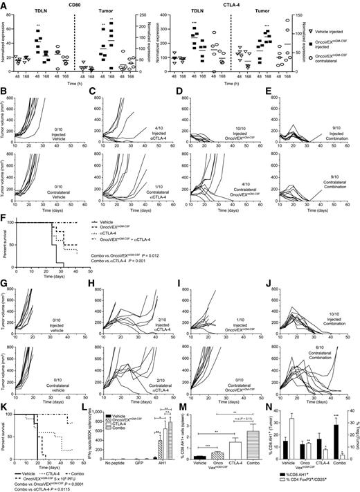 Figure 6. Enhanced efficacy of OncoVEXmGM-CSF in combination with anti–CTLA-4 antibodies in A20 and CT-26 tumor models. A, Relative expression of CD80 and CTLA-4 in tumors and TDLNs. Statistical significance was determined using a one-way ANOVA using Dunnett's correction, with significance indicated vs. vehicle–injected tumor (*, P < 0.05; **, P < 0.01; ***, P < 0.001). Representative of two independent experiments with n = 5/group. B–E, Enhanced efficacy of OncoVEXmGM-CSF with CTLA-4 antibodies in the A20 tumor model. Growth of vehicle, OncoVEXmGM-CSF (5 × 106 PFU), anti–CTLA-4, and combination tumors on the injected and contralateral side. Each line represents the growth pattern of a single tumor (n = 10/group). F, Kaplan–Meier analysis of median survival of mice treated with single agents vs. combination. Events were recorded with tumor volume exceeding 800 mm3. G–J, Enhanced efficacy of OncoVEXmGM-CSF with CTLA-4 antibodies in the CT-26 tumor model. Growth of vehicle, OncoVEXmGM-CSF (5 × 106 PFU), anti–CTLA-4, and combination tumors on the injected and contralateral side. Each line represents the growth pattern of a single tumor (n = 10/group). K, Kaplan–Meier analysis of median survival of mice treated with single agents vs. combination. Events were recorded with tumor volume exceeding 800 mm3. L and M, Pharmacodynamic assessment of systemic anti-AH1 CD8+ T cells. Percent of splenic CD8+ T cells reacting with the AH1 antigen (L:EliSpot & M:FACS) were quantified from vehicle, OncoVEXmGM-CSF (5 × 106 PFU), anti–CTLA-4, and combination treated mice. N, Pharmacodynamic assessment of tumor anti-AH1 CD8+ T cells (black bars) and tumor Tregs (white bars) from vehicle, OncoVEXmGM-CSF (5 × 106 PFU), anti–CTLA-4, and combination treated tumors. Spleens were collected 7 days after the last treatment dose (n = 5). Data representative of two independent experiments. *, P < 0.05; **, P < 0.01; ***, P < 0.001.