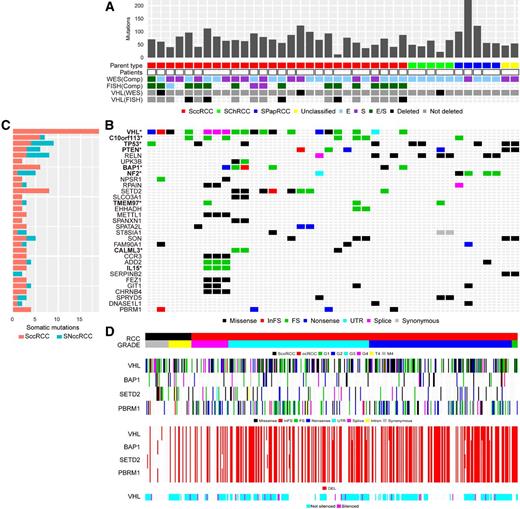 Figure 1. Mutational, copy number, and methylation landscape of SRCC. A, Mutation frequency sorted by parent RCC subtype (SccRCC, SPapRCC, SChRCC, and Unclassified); unique patient samples indicated by square borders, with paired patient samples indicated by rectangular borders; E- and/or S- components from each patient assayed by WES or FISH with VHL deletions assessed by WES and FISH. B, Types of somatic mutations involving specific genes, including significantly mutated genes by mutation frequency and found by MutSig*. C, Bar plot shows mutations grouped by SccRCC or sarcomatoid non–clear-cell RCC (SNccRCC) subtype. FS, frameshift; InFS, insertion frameshift; UTR, untranslated region. D, SccRCC derived from the MD Anderson (M4) and TCGA (T4) cohorts and ccRCC (grades 1–4) from TCGA in terms of the “hits” on 3p genes (VHL, PBRM1, SETD2, and BAP1) consisting of mutations, deletions (DEL), and epigenetic silencing by methylation.