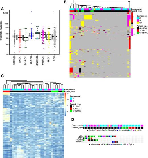 Figure 2. SRCC segregates according to parent subtype. SRCC of different parent subtypes (SccRCC, SPapRCC, and SChRCC) demonstrates (A) similar mutational burdens compared with nonsarcomatoid RCC (RCC) of different parent subtypes (ccRCC, PapRCC, and ChRCC). SRCCs segregate according to parent subtype, as shown by an unsupervised clustering analysis of (B) copy number (1,500 top genes) and (C) mRNA expression (1,000 genes). D, Mutations of 3p21-25 tumor-suppressor genes are confined to SccRCC. FS, frameshift; InFS, insertion frameshift; UTR, untranslated region.