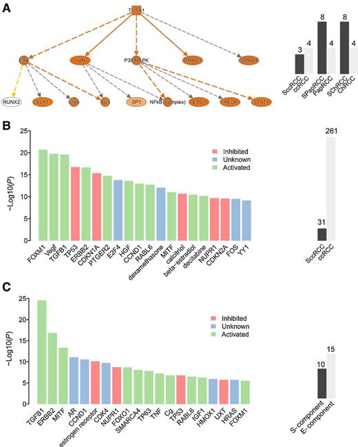 Figure 4. SRCC shows a distinct transcriptional program. A, SRCC shows enrichment of TGFβ1 signaling across different parent subtypes. B, SccRCC shows differential regulation of various signaling pathways compared with advanced-stage (stages III and IV) non-SccRCC. C, Expression differences between the E- and S- components of SccRCC translate into discrete pathway alterations. Barplots indicate number of cases analyzed across each contrast.