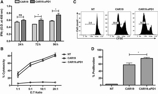 Figure 2. Anti–PD-1 expression enhanced the antigen-specific immune responses of CAR T cells. A, Both CAR19 and CAR19.αPD1 T cells were cocultured with H292-CD19 cells for different durations. IFNγ production was measured by ELISA (n = 5, mean ± SEM; ns, not significant, P > 0.05; *, P < 0.05). B, Cytotoxicity of both CARs against target cells. The two groups of CAR T cells were cocultured for 6 hours with H292-CD19 cells at 1:1, 5:1, 10:1, and 20:1 effector-to-target ratios, and cytotoxicity against H292-CD19 was measured. Nontransduced (NT) T cells were used as a control. C, Proliferation of both CARs after antigen-specific stimulation. The two groups of CAR T cells were prestained with CFSE. The stained T cells were then cocultured for 96 hours with H292-CD19 cells at 1:1 effector-to-target ratio, and the intensity of CFSE was measured. Nontransduced (NT) T cells were used as a control. D, The summarized statistics of proliferation rate for nontransduced (NT) T cells, CAR19 T cells, and CAR19.αPD1 T cells in C were shown in bar graphs (n = 4, mean ± SEM; *, P < 0.05).