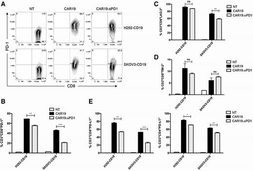 Figure 3. Secreting anti–PD-1 scFv protected CAR T cells from being exhausted. Both CAR19 and CAR19.αPD1 T cells were cocultured with either H292-CD19 or SKOV3-CD19 cells for 24 hours. A, PD-1 expression was measured by flow cytometry. CD8+ T cells were shown in each panel. PD-1–expressing CD8 T cells were gated, and their percentage over total CD8+ T cells was shown in each scatterplot. B, The summarized statistics of triplicates were shown in bar graphs (n = 3, mean ± SEM; **, P < 0.01; ***, P < 0.001). C, LAG-3 expression was measured by flow cytometry. The percentage of LAG-3–expressing CD8 T cells over total CD8+ T cells was shown in bar graphs (n = 3, mean ± SEM; ns, not significant, P > 0.05; **, P < 0.01). D, TIM-3 expression was measured by flow cytometry. The percentage of TIM-3–expressing CD8 T cells over total CD8+ T cells was shown in bar graphs (n = 3, mean ± SEM; ns, not significant, P > 0.05). E, Both CAR19 and CAR19.αPD1 T cells were cocultured with either H292-CD19 or SKOV3-CD19 cells for 24 hours. PD-L1 expression was measured by flow cytometry. The percentages of PD-L1–expressing CD8 T cells over total CD8+ T cells and PD-L1–expressing CD4 T cells over total CD4+ T cells were shown in bar graphs (n = 3, mean ± SEM; *, P < 0.05; **, P < 0.01; ***, P < 0.001).