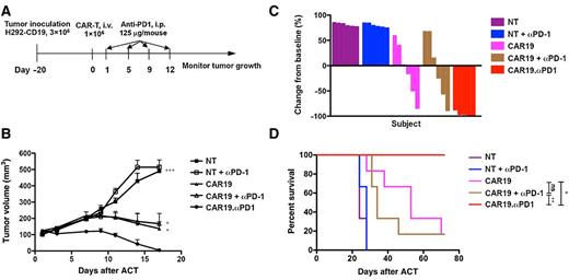 Figure 4. Adoptive transfer of CAR T cells secreting anti–PD-1 scFv enhanced the growth inhibition of established tumor. A, Schematic representation of the experimental procedure for tumor challenge, T-cell adoptive transfer, and antibody treatment. NSG mice were subcutaneously challenged with 3 × 106 of H292-CD19 tumor cells. At day 20, when the tumors grew to approximately 100 mm3, 1 × 106 of CAR19 or CAR19.αPD1 T cells were adoptively transferred through intravenous injection. One day after T-cell infusion, anti–PD-L1 antibody treatment was initiated, and the treatment was continued on the indicated dates. Tumor volume was measured every other day. B, Tumor growth curve for mice treated with nontransduced (NT), NT plus anti–PD-1 injection, CAR19, CAR19 plus anti–PD-1 injection, or CAR19.αPD1. Data were presented as mean tumor volume ± SEM at indicated time points (n = 8; *, P < 0.05; ***, P < 0.001). C, Waterfall plot analysis of tumor reduction on day 17 after therapy for various treatment groups. D, Survival of H292-CD19 tumor-bearing NSG mice after indicated treatment. Overall survival curves were plotted using the Kaplan–Meier method and compared using the log-rank (Mantel–Cox) test (n = 6; ns, not significant, P > 0.05; *, P < 0.05; **, P < 0.01).