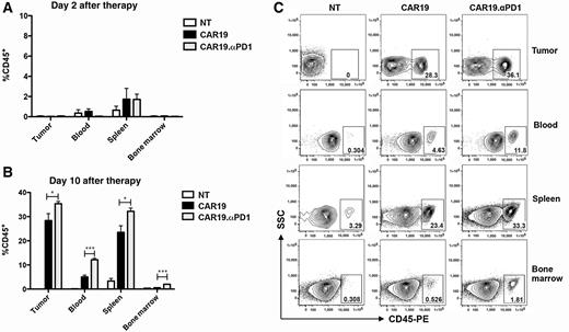Figure 5. CAR T cells secreting anti–PD-1 were expanded more efficiently than parental CAR T cells in vivo. The percentage of human CD45+ T cells in the tumor, blood, spleen, and bone marrow of H292-CD19 tumor-bearing mice that were adoptively transferred with nontransduced (NT), CAR19, or CAR19.αPD1 T cells was investigated by flow cytometry at day 2 (A) or day 10 (B) after therapy (n = 3, mean ± SEM; *, P < 0.05; ***, P < 0.001). C, A representative FACS scatter plot of the percentage of human CD45+ T cells in the tumor, blood, spleen, and bone marrow of different groups.
