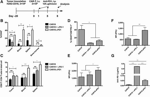 Figure 6. CAR T cells secreting anti–PD-1 were more functional than parental CAR T cells at local tumor site. A, Schematic representation of the experimental procedure for tumor challenge, T-cell adoptive transfer, and antibody treatment. NSG mice were subcutaneously challenged with 3 × 106 of H292-CD19 tumor cells. At day 20, 3 × 106 of CAR19 or CAR19.αPD1 T cells were adoptively transferred through intravenous injection. One day after T-cell adoptive transfer, anti–PD-1 antibody treatment was initiated, and the treatment was continued on the indicated dates. The mice were then euthanized on day 8 for analysis. B, The percentage of human CD45+ T cells in the tumor, blood, spleen, and bone marrow of H292-CD19 tumor-bearing mice that were adoptively transferred with CAR19 or CAR19.αPD1 T cells, or treated with CAR19 T cells along with injection of anti–PD-1 antibody, was investigated by flow cytometry (ns, not significant, P > 0.05; *, P < 0.05; **, P < 0.01). C, The ratio of CD8+ versus CD4+ T cells in the tumor, blood, and spleen (n = 3, mean ± SEM; ns, not significant, P > 0.05; *, P < 0.05; ***, P < 0.001). D, The percentage of PD-1–expressing CD8 TILs over total CD8+ TILs (n = 3, mean ± SEM; *, P < 0.05). TILs were harvested and stimulated ex vivo for 6 hours by either anti-CD3/anti-CD28 antibodies (E) or target cells H292-CD19 (F). The percentage of CAR T cells in the tumor expressing intracellular IFNγ was investigated by flow cytometry (n = 3, mean ± SEM; *, P < 0.05; **, P < 0.01). G, The secreted anti–PD-1 scFvs and injected anti–PD-1 antibodies in the sera were evaluated using ELISA (n = 3, mean ± SEM; **, P < 0.01; ***, P < 0.001).