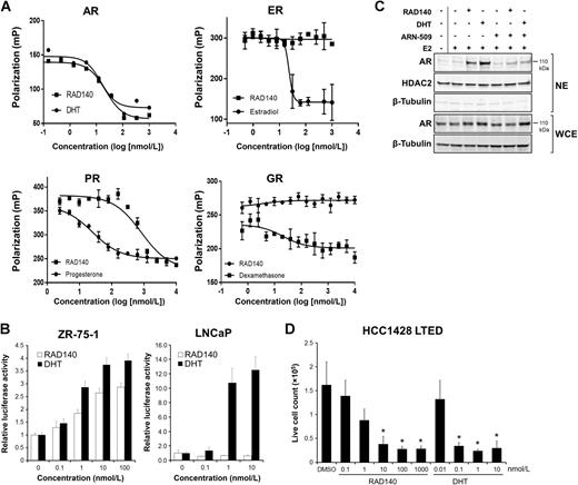 Figure 1. Binding affinity and specificity of RAD140 and its tissue-selective AR agonist activity. A, The binding affinity of RAD140 to AR, ER, PR, and GR was determined using PolarScreen Competitive Binding Assays for each of these nuclear receptors. DHT, 17β-estradiol, progesterone, and dexamethasone were included as positive control for the binding to AR, ER, PR, and GR, respectively. The relative affinity of RAD140, versus the standard ligands, to these receptors was calculated on the basis of the IC50 values using Prism. Data presented are an average of at least three independent experiments. B, ZR-75-1 breast cancer cells and LNCaP prostate cancer cells were transfected with ARE-luc and Renilla luciferase constructs in medium containing 5% CSS. Twenty-four hours after the transfection, cells were treated with RAD140 or DHT at the indicated final concentrations. ARE-driven luciferase activity was measured and normalized to that of Renilla luciferase. Data presented are an average of biological triplicates. C, Steroid-deprived ZR-75-1 cells were treated with ethanol (vehicle) or 1 nmol/L of 17β-estradiol (E2) for 2 hours, followed by treatment with RAD140 at 100 nmol/L in the presence or absence of ARN-509 (10 μmol/L) for overnight. Whole-cell lysates and nuclear fractions were prepared and subjected to Western blot analyses for AR. HDAC2 and β-tubulin were probed as loading controls for nuclear and whole-cell extracts, respectively. D, HCC1428 LTED cells were maintained in steroid-depleted condition and treated with RAD140 or DHT at the indicated concentrations for 14 days, with medium and compounds replenished every 3 days. At the end of the treatment, cells were stained with Trypan blue before subjected to live-cell counting in a Nexcelom Cellometer. Average cell number ± SD of biological triplicates is presented. *, P < 0.05 for comparison with the DMSO-treated group.