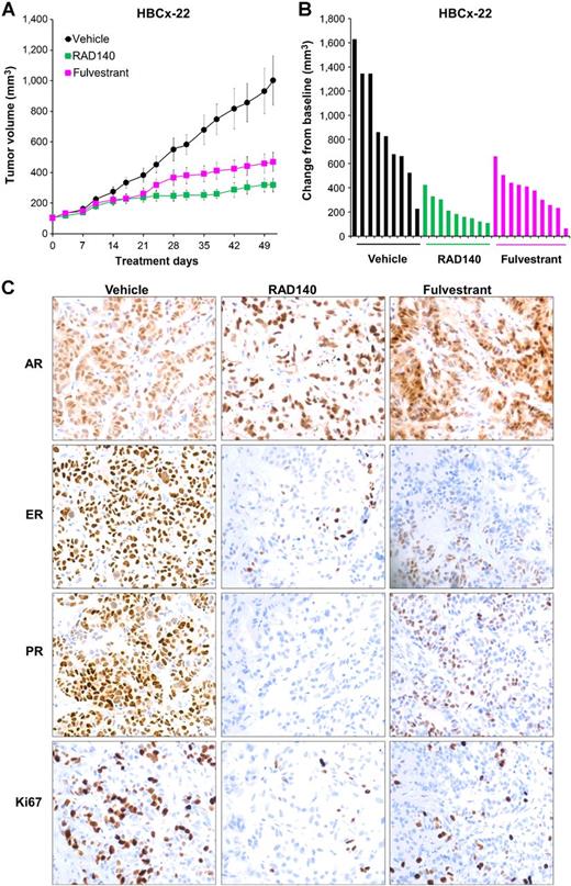 Figure 2. The effect of oral administration of RAD140 on the growth of AR/ER+ breast cancer PDX. A, Mean tumor volumes ± SEM of HBCx-22 breast cancer xenografts treated with vehicle, RAD140 (100 mg/kg once daily), or fulvestrant (1 mg once weekly) for the indicated period of time (n = 8/group). B, Changes in tumor volume of individual HBCx-22 xenografts from the beginning to the end of the treatment. C, IHC analysis of HBCx-22 xenografts collected at the end of the study was performed using antibodies against AR, ER, PR, and Ki67. Representative images of three individual tumors from each treatment group are shown.