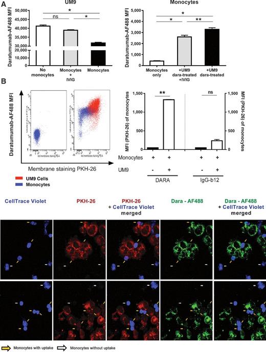 Monocytes and Granulocytes Reduce CD38 Expression Levels on Myeloma