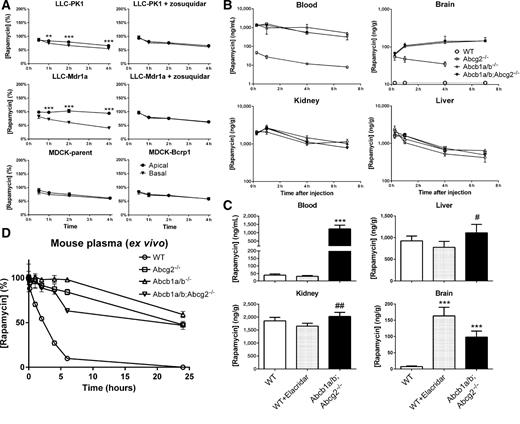 Figure 1. In vitro transport, in vivo pharmacokinetics, and ex vivo stability of rapamycin. A, Concentration equilibrium transport assays (CETA) for rapamycin using Mdr1a- and Bcrp1-overexpressing cell lines and their parental counterparts (LLC-PK1 and MDCK-parent, respectively). In CETA, the same drug solution is added to both compartments and this concentration is designated 100%. Zosuquidar (5 μmol/L) was used to specifically inhibit P-gp–mediated transport. Data are means ± SD; n = 6; **, P < 0.01; ***, P < 0.001. B, Rapamycin levels in blood, brain, kidney, and liver of WT, Abcb1a/b−/−, Abcg2−/−, and Abcb1a/b;Abcg2−/− mice following intraperitoneal administration of 1.5 mg/kg rapamycin. Data are means ± SD; n = 3-4. C, Effect of elacridar on rapamycin levels in blood, brain, kidney, and liver of WT mice and Abcb1a/b;Abcg2−/− mice receiving rapamycin alone. Elacridar (100 mg/kg) was orally administered to WT mice 15 minutes prior to rapamycin (1.5 mg/kg, i.p.) administration and samples were taken at 1 hour after rapamycin administration. Data are means ± SD; n = 5; ***, P < 0.001, compared with WT mice without elacridar; #, P < 0.05; ##, P < 0.01, compared with WT mice with elacridar. D, Ex vivo stability of rapamycin at 37°C in plasma of WT, Abcb1a/b−/−, Abcg2−/−, and Abcb1a/b−/−;Abcg2−/− mice. Data are means ± SD; n = 3.