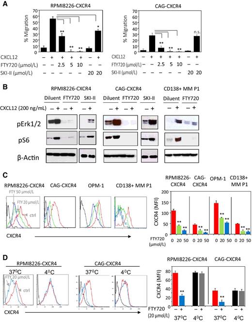 Figure 4. FTY720 suppresses CXCR4 activity and induces CXCR4 internalization in MM cells. A, RPMI8226-CXCR4 and CAG-CXCR4 cells were pretreated with indicated doses of FTY720 for 30 minutes and their migratory response to CXCL12 (200 ng/mL) was measured using the Trans-well migration assay. B, Effect of FTY720 and SKI-II pretreatment (20 μmol/L for both agents, for 1 hour at 37°C) on CXCL12-induced (200 ng/mL, 30 minutes activation) intracellular signaling in RPMI8226-CXCR4, CAG-CXCR4, and primary CD138+ MM cells. Levels of phosphorylated Erk1/2 and S6 proteins, measured by Western blot, β-actin was used as an internal control. Representative data from at least two independent experiments is shown. C, Effect of FTY720 treatment (20 μmol/L and 50 μmol/L, 1 hour, 37°C) on cell-surface CXCR4 expression in RPMI8226-CXCR4, CAG-CXCR4, OPM-1, and primary CD138+ MM cells, measured by FACS. CXCR4 expression level is presented as mean fluorescent intensity (MFI); data are presented as mean of triplicates ±STDEV (**, P < 0.01). D, Effect of FTY720 treatment (20 μmol/L, 1-hour incubation) at 37°C or 4°C on cell levels of CXCR4, evaluated by FACS. Data are presented as mean of triplicates ± STDEV (**, P < 0.01).