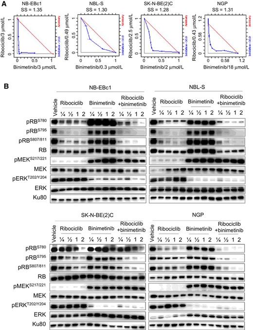 Figure 3. Neuroblastoma cell lines show a synergistic response to combined MEK1/2 and CDK4/6 inhibition. A, Isobologram plots for select neuroblastoma cell lines treated with both binimetinib and ribociclib and (B) immunoblot analysis of MAPK and CyclinD/CDK4/RB pathway effectors in response to binimetinib–ribociclib combination treatment; Ku80 is included as loading controls.