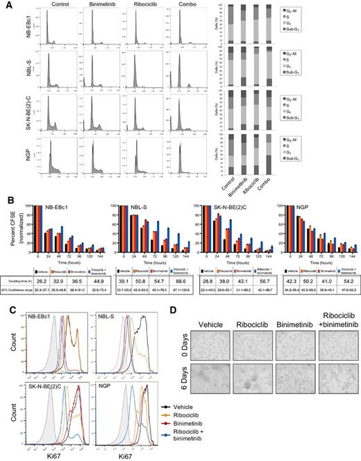 Figure 4. Combined MEK1/2 and CDK4/6 inhibition induces near complete accumulation in G1. A, Cell-cycle analysis of single agent and combined binimetinib and ribociclib treatment (1× IC50 doses at 72 hours, quantification on far right from a single dataset representative of three independent experiments); B, CFSE analysis and corresponding doubling times (analysis was repeated in at least three independent experiments with representative plots from one experiment shown); C, Ki67 staining of treated cells (1× IC50 doses at 72 hours); and (D) time-lapse microscopy images taken from NBL-S cells treated with binimetinib and ribociclib (1/2× IC50).