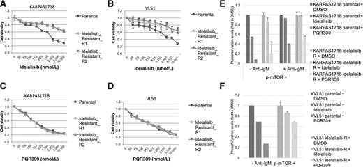 Figure 2. PQR309 is active in lymphoma cell lines with stable secondary resistance to idelalisib. Antiproliferative activity of idelalisib in KARPAS1718 (A) and in VL51 (B) parental and in two idelalisib-resistant clones for each. Antiproliferative activity of PQR309 in KARPAS1718 (C) and in VL51 (D) parental and in two idelalisib-resistant clones each. E, Phosphorylation of MTOR-S2448 in KARPAS1718 parental and idelalisib-resistant, treated with DMSO, idelalisib or PQR309 for 16 hours with or without 15 minutes of anti-IgM stimulation (10 μg/μL). KARPAS1718 parental + PQR309 vs. KARPAS1718 parental + DMSO, −anti-IgM, P < 0.05; KARPAS1718 parental + PQR309 vs. KARPAS1718 parental + idelalisib, + anti-IgM, P < 0.05. F, p-MTOR-S2448 activation in VL51 parental and idelalisib-resistant, treated with DMSO, idelalisib or PQR309 for 16 hours. VL51 parental + PQR309 vs. VL51 parental + DMSO, –anti-IgM, P < 0.05; VL51 parental + PQR309 vs. VL51 parental + idelalisib, −anti-IgM, P < 0.05. Error bars represent the standard deviation on values obtained in two independent experiments.