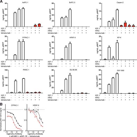 Figure 3. Dual IGF-1R/ErbB3 blockade inhibits IGF-1– and HRG-induced AKT phosphorylation in human pancreatic cancer cell lines in vitro. A, Istiratumab inhibits dual growth factor–induced pAKT across the entire pancreatic cancer panel. Nine human pancreatic cancer cell lines were pretreated for 24 hours with vehicle or 500 nmol/L istiratumab, then stimulated for 15 minutes with a mixture of 50 nmol/L IGF-1 and 5 nmol/L HRG. Following treatment, cell lysates were collected and pAKT was measured by ELISA. Bars represent mean + SD of duplicates and are representative of a minimum of two separate experiments. B, Istiratumab inhibits dual growth factor–induced AKT phosphorylation stronger than a mixture of anti-IGF-1R and anti-ErbB3 monospecific antibodies. CFPAC-1 and HPAF-II cells were pretreated for 24 hours with a dilution series starting at 500 nmol/L of either istiratumab (red) or a mixture of anti-IGF-1R and anti-ErbB3 antibodies (black), then stimulated for 15 minutes with a mixture of 50 nmol/L IGF-1 and 5 nmol/L HRG. Following treatment, cell lysates were collected and pAKT was measured by ELISA. pAKT signal is control-subtracted and normalized to the IGF-1 + HRG control for each cell line. Line graphs are representative of the mean of two separate experiments, and are plotted as mean + SD of ELISA duplicates.