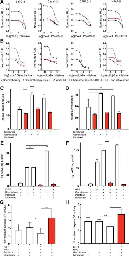 Figure 5. Istiratumab restores activity of chemotherapy in the presence of IGF-1 and HRG. A and B, Serum-starved BxPC-3, Capan-2, CFPAC-1, and HPAF-II cell spheroids propagated in nanoculture plates were treated for 4 days with either paclitaxel (A) or gemcitabine (B) over a dilution series, in the presence of vehicle (blue), a mixture of 50 nmol/L IGF-1 and 10 nmol/L HRG (black), or a mixture of 50 nmol/L IGF-1, 10 nmol/L HRG, and 1 μmol/L istiratumab (red). Relative cell proliferation was assessed by CellTiter-Glo assay. Line graph data are expressed in relative light units (RLU) and are normalized to untreated vehicle (mean + SEM). C and D, Treatment with gemcitabine or paclitaxel upregulates IGF-1R and ErbB3 expression in CFPAC-1 pancreatic cancer cells. CFPAC-1 cells were treated for 1 hour with 1 μmol/L gemcitabine or 100 nmol/L paclitaxel. Cell lysates were collected, and IGF-1R and ErbB3 were quantified by ELISA. Bar graphs represent the mean + SD of duplicates and are representative of a minimum of two separate experiments. E and F, Istiratumab inhibits chemotherapy-enhanced, growth factor–induced AKT phosphorylation. CFPAC-1 cells were pretreated for 24 hours with either vehicle, 100 nmol/L paclitaxel (Pac), 1 μmol/L gemcitabine (Gem), 500 nmol/L istiratumab, alone or in combination as indicated, and then stimulated for 15 minutes with 50 nmol/L IGF-1 or 5 nmol/L HRG. Cell lysates were collected, and changes in pAKT were measured by ELISA. Bar graphs are plotted as the mean + SD of duplicates and are representative of a minimum of two separate experiments. G and H, Isitratumab potentiates chemotherapy-induced caspase-3/7 activity in the presence of IGF-1 and HRG. Serum-starved CFPAC-1 cells grown with the IncuCyte Caspase-3/7 Green Apoptosis Assay Reagent in 96-well plates were treated in octuplicate for 16 hours with 100 nmol/L paclitaxel (Pac), 1 μmol/L gemcitabine, 500 nmol/L istiratumab, 50 nmol/L IGF-1, or 5 nmol/L HRG as indicated, then caspase 3/7 activity was assessed in the IncuCyte live cell imager. ns, not significant; *, P < 0.05; **, P < 0.005; ***, P < 0.001; ****, P < 0.0001.