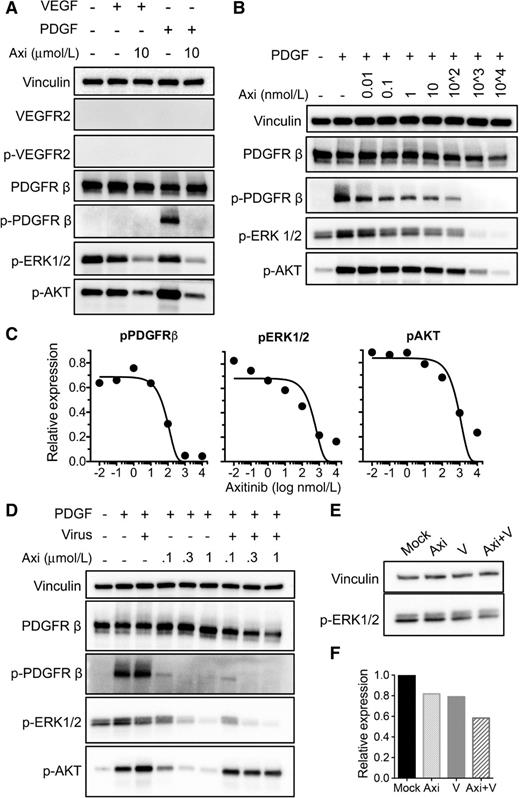 Figure 4. Effects of axitinib and/or G47Δ-mIL12 on VEGFR and PDGFR signaling pathways in MGG123 GBM. A, Effects of axitinib on VEGFR and PDGFR signaling pathway in MGG123 GSCs in vitro. Cells were starved (no growth factors) overnight, followed by stimulation with or without recombinant human VEGF (100 ng/mL) or PDGF (100 ng/mL) for 15 minutes. Simultaneously, cells were also treated with or without axitinib (10 μmol/L) for 15 minutes. Cell lysates were processed for Western blotting with antibodies to vinculin, VEGFR2, p-VEGFR2, PDGFRβ, p-PDGFRβ, p-ERK1/2, and p-AKT (Cell Signaling Technology). B, Representative blot of dose-dependent effects of axitinib (dose indicated) on PDGFRβ signaling. C, Relative expression (to vinculin; mean) of p-PDGFRβ, p-ERK1/2, and p-AKT obtained from B and second blot. Lines are curve fit of data (nonlinear regression, Gaussian distribution). D, Representative blot of effects of combination (axitinib+G47Δ-mIL12) treatment on PDGFRβ signaling. Starved MGG123 cells were inoculated with G47Δ-mIL12 (moi 1.0) and incubated for 6 hours at 37°C. During the last 15 minutes of viral incubation, PDGF (100 ng/mL) and axitinib (111, 333, or 1,000 nmol/L) were added to the cells. Cells were then processed for Western blotting. Quantification in Supplementary Fig. S5C. E, Treatment effects of combination therapy (axitinib+G47Δ-mIL12) on p-ERK1/2 in MGG123 tumors in vivo. Athymic mice were implanted with MGG123 human GSCs on day 0, high-dose axitinib (50 mg/kg) or vehicle solution was injected intraperitoneally from days 13 to 17, and/or G47Δ-mIL12 (5 × 104 pfu) or PBS injected intratumorally on day 15, and 3 hours after the last axitinib injection (i.e., day 17), mice were sacrificed (3–4 mice/group) and brain tumor quadrants were collected. Tumor quadrants from each group were pooled and processed for Western blotting with antibodies to p-ERK1/2 and vinculin. F, Relative expression (to vinculin) of p-ERK1/2 obtained from E.
