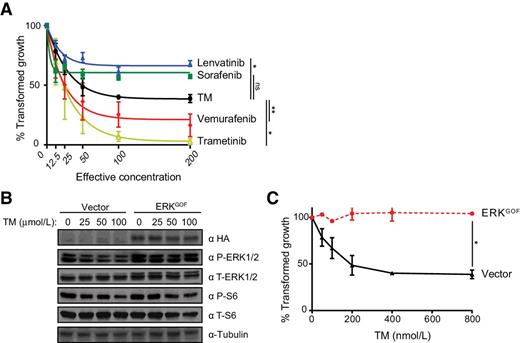 Figure 1. TM reduces anchorage-independent growth of BCPAP cells. A, % transformed growth in soft agar (mean ± SEM, triplicate samples, three experiments) normalized to vehicle control of BCPAP cells treated with increasing doses (effective concentration) of lenvatinib (), sorafenib (),TM (), vemurafenib (), or trametinib (). B, Immunoblot detection of HA epitope-tagged ERKGOF, phosphorylated (P-) and total (T-) Erk1/2 or S6, and tubulin in BCPAP cells transduced with an expression vector encoding no transgene (vector) or ERKGOF treated with the indicated increasing concentrations of TM. C, % transformed growth in soft agar (mean ± SEM, triplicate samples, three experiments) normalized to vehicle control of BCPAP cells stably transduced with a vector encoding no transgene () or one encoding ERKGOF () at the indicated increasing concentrations of TM. *, P < 0.05; **, P < 0.01; ns, not significant.