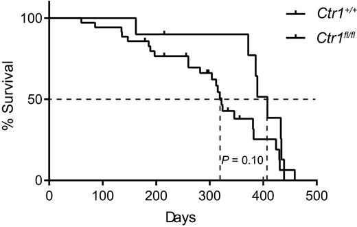 Figure 4. Loss of Ctr1 in thyrocytes of TBP mice trends towards a survival advantage. Kaplan–Meier survival curve of Ctr1+/+ (n = 23, 12 on study, red line) versus Ctr1fl/fl (n = 8, 2 on study, black line) TBP mice. Dotted line: median survival. Censor marks: mice still on study. P = 0.10.