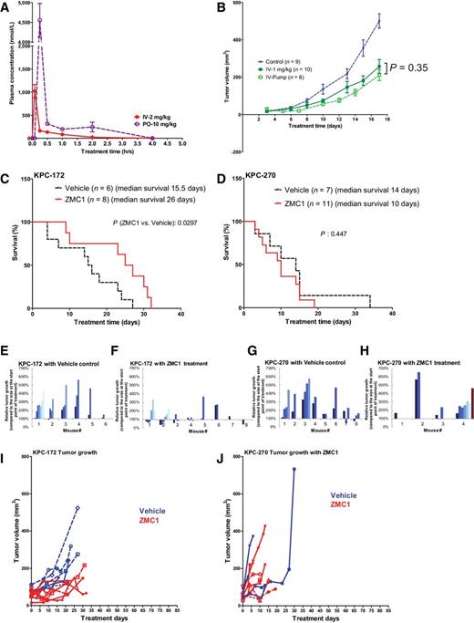 Figure 4. ZMC1 improves survival in the KPC model specifically in a zinc-deficient allele. A, Kinetics of plasma concentrations of ZMC1 over 4 hours. B, Comparison of ZMC1 administered at 1 mg/kg intravenous bolus daily versus 1 mg/kg/24 hour daily by continuous intravenous infusion (AZLET pump) in the K8484 subcutaneous model. Tumor size was measured every 2–3 days. The P value of bolus IV versus pump IV is shown. C and D, Kaplan–Meier survival curves for KPC-172 (p53R172H; C) and KPC-270 (p53R270H; D) mice treated with vehicle control or ZMC1. The median survival time, number of mice in each group, and P value are shown. E–H, Relative individual tumor growth measured by ultrasound for KPC-172 and KPC-270 (waterfall plot). The mice were treated with vehicle control or ZMC1 intraperitoneally with 5 mg/kg daily until the endpoint. Each bar color represents a measurement expressed as percentage change from baseline. E, KPC-172 mice treated with vehicle control. F, KPC-172 mice treated with ZMC1. G, KPC-270 mice treated with vehicle control. H, KPC-270 mice treated with ZMC1. I and J, Individual tumor growth for KPC-172 (I) and KPC-270 (J).