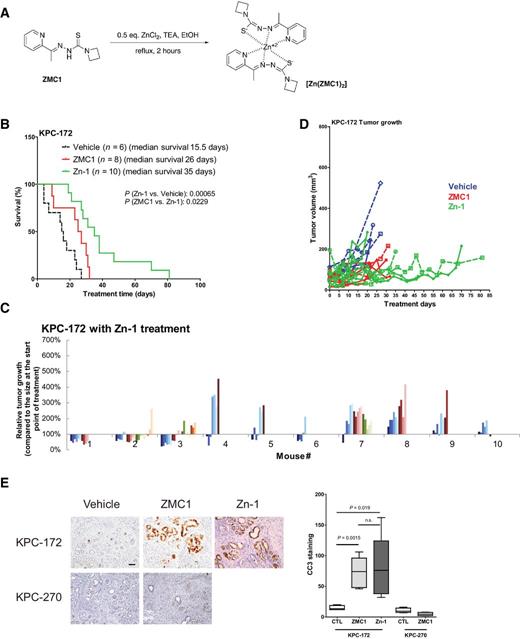 Figure 5. ZMC1 complexed with zinc (Zn-1), a novel formulation, exhibits greater efficacy and less toxicity. A, Synthesis of [Zn(ZMC1)2] (i.e., Zn-1). B, Kaplan–Meier survival curves for KPC-172 mice treated with Zn-1. The median survival time, number of mice in each group, and P value are shown. The data for vehicle control and ZMC1 treatment groups are from Fig. 4D. C, Relative individual tumor growth (waterfall plot) for KPC-172 mice treated with Zn-1 intraperitoneally with 5.6 mg/kg daily until the endpoint. Each bar color represents a measurement. D, Individual tumor growth for KPC-172 upon treatment with vehicle control, ZMC1, or Zn-1 (spider-web plot). The data for vehicle control and ZMC1 treatment groups are from Fig. 4J. E, Representative IHC staining with Cleaved caspase-3 for tumor tissues from KPC-172 and KPC-270 treated with vehicle, ZMC1, or Zn-1. The quantitation is shown on the right.