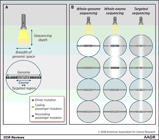 Figure 2. A, The ability to infer the existence of a somatic clone in the blood of a given individual is determined in part by the type of sequencing technology used. The size of the clone that can be detected is inversely proportional to the depth of sequencing, meaning the average number of times each individual base position is sequenced by a unique read during the sequencing assay. Depth of sequencing, in turn, is related in part to the breadth of genomic space sequenced, that is, the number of unique base pairs. B, Comparison of the types of somatic clones detectable by different sequencing methods. Whole-genome sequencing (WGS), the broadest assay, can detect clones marked by an accumulation of coding and noncoding variants, but due to its low depth, only large clones can be detected. Whole-exome sequencing (WES) can detect only coding variants but can achieve a greater depth of sequencing than WGS. Targeted sequencing requires a priori selection of a limited subset of genomic space and is thus restricted to only known genes. However, it can achieve substantially greater depth, and thus identify much smaller clones, than either WGS or WES.