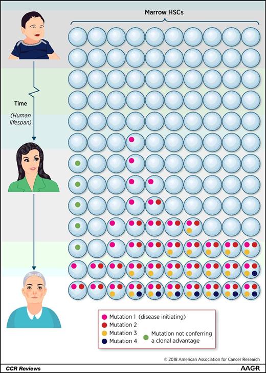 Figure 3. Somatic DNA variants commonly arise in HSCs across the human lifespan. Although most such variants are mere “passengers” that do not impart a clonal growth or survival advantage to the cell acquiring the mutation, others lead to clonal expansion. By middle age, clonally restricted mutations are universal, though only a minority will give rise to HM.