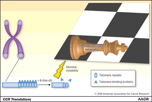 Figure 1. Causing telomere dysfunction to overcome melanoma resistance. Addition of 6-thio-dG causes telomere uncapping. Telomere exposure causes genomic instability leading to the death of targeted and immune checkpoint inhibitor–resistant melanoma.