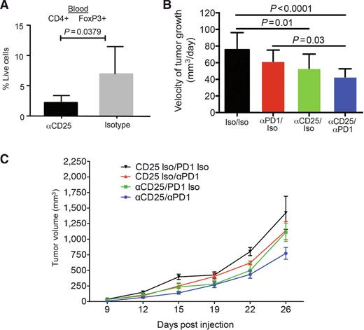 Figure 5. Depletion of Tregs with anti-CD25 increases response to anti-PD1. Young female mice were treated with anti-CD25 or an IgG1A isotype 5 days prior to subdermal of BSC9AJ2 cells with treatments continuing every 5 days until sacrifice. Anti-PD1 was administered every 3–4 days, starting on day 9 posttumoral injection. A, Anti-CD25–depleted Tregs in the peripheral blood of mice. B, Statistical analysis of tumor growth curves comparing anti-CD25, anti-PD1, and the combination of both antibodies in young mice. C, Tumor growth curves for above. All experiments used a linear mixed-effect model to determine significance. Error bars, SEM.
