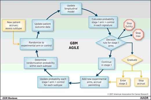 Figure 1. Life cycle of GBM AGILE. As new patients are added to GBM AGILE, their biomarker subtype is assessed, and they are randomized to an experimental arm or control based on the randomization algorithm that is powered by data accruing during the trial. Each experimental arm may participate in two stages during the trial: an initial adaptively randomized screening stage and a second confirmatory stage for those experimental arms that graduate. Patient outcome data are updated during the trial, which is used to update the longitudinal model that estimates the probability of the primary endpoint (survival). Following update of the longitudinal model, the probability of each stage 1 experimental arm being better than control in each signature is calculated, after which predetermined decision rules will be applied that will allow the arm to: (1) stop for futility, (2) complete maximum accrual, (3) graduate and stop accrual (predetermined), (4) graduate and proceed to stage 2 (predetermined), (5) continue in stage 1. Following graduation, the decision to stop accrual or proceed to stage 2 will depend on the estimated time for stage 2 completion. If an arm graduates with a sufficiently small biomarker-defined signature such that that the accrual rate would not enable completion of stage 2 within 2 years, the arm would not proceed. As stage 1 continues, the probability of experimental arms being better that control are calculated for each subtype, a patient-specific characteristic and the locus of randomization, and randomization probabilities will be updated. Experimental arms that continue to stage 2 will proceed with a fixed randomization for a fixed sample size to confirm the signal found in stage 1.