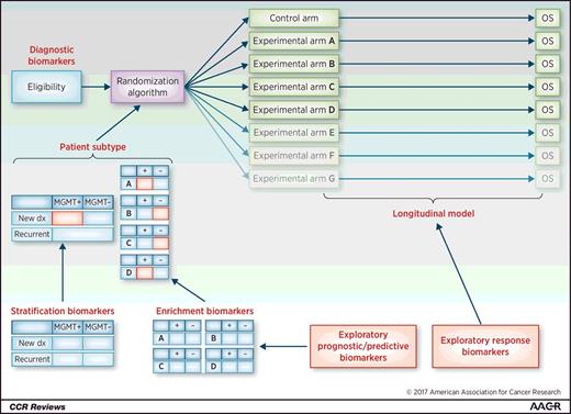 Figure 2. Overall structure and role of biomarkers in GBM AGILE–Diagnostic biomarkers (GBM histopathology and IDH1 R132H immunohistochemistry) will be used to assess trial eligibility. Stratification biomarkers (MGMT promoter methylation status and clinical context of newly diagnosed versus recurrent) will be combined with enrichment biomarkers to determine patient subtypes. A patient can only belong to one subtype. Enrichment biomarkers are biomarkers hypothesized to be predictive of response to a specific experimental arm and will only be considered as long as the corresponding experimental arm is in the study and only for that arm. The longitudinal model combines assessments made following randomization (tumor growth, performance status) to explore for associations with survival. Additional biomarkers may be evaluated in an exploratory manner to assess for predictive, prognostic, or response utility and be formally incorporated in the prospective trial in future updates should a discovery be made.