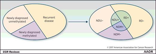 Figure 3. Segmentation of patient space into subtypes based on stratification and enrichment biomarkers—when there is no enrichment biomarker present, there are three subgroups: NDM, NDU, and RD. If an enrichment biomarker is present for a specific arm, this space is further divided into six subgroups as shown. Subgroups for an arm with an enrichment marker pertain only to that arm. Subgroups are patient/tumor characteristics and are mutually exclusive and exhaustive.