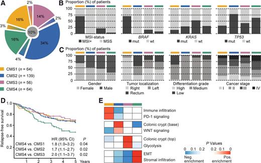 Figure 1. Validation of molecular and clinicopathologic characteristics of the CMS groups in primary colorectal cancers. A, From a consecutive series of 409 patients with stage I–IV colorectal cancer, totally 323 (79%) tumors were confidently assigned to a CMS group (posterior probability larger than 0.5 from the random forest CMS classifier), whereas 46 tumors (11%) displayed mixed characteristics between two of the subtypes (posterior probability larger than 0.3 for both subtypes) and 40 tumors (10%) were indeterminate. Among the confidently classified tumors, known associations with the CMS groups were validated for: B, MSI status, BRAF mutations, KRAS mutations, and TP53 mutations; C, patient gender, tumor localization, tumor differentiation grade, and cancer stage; D, patient survival. Patients with CMS4 tumors had a 5-year RFS rate of 47% compared with 67% for patients with CMS1-3 tumors. E, Gene set expression enrichment analyses comparing tumors in each individual CMS group with the three others confirmed subtype-specific biological properties. In B–E, the color code is the same as indicated in A.
