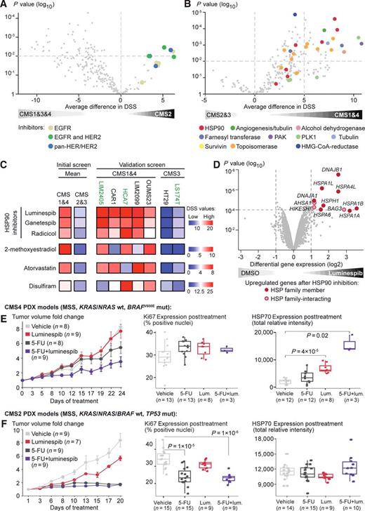 Figure 4. Selective activity of HSP90 inhibitors in CMS1 and CMS4. A, High-throughput drug screening of colorectal cancer cell lines (n = 29) showed that CMS2 was more sensitive to EGFR and HER2 inhibitors than the three other CMS groups. B, Compared with CMS2 and CMS3, CMS1 and CMS4 cell lines were more sensitive to three HSP90 inhibitors (red; luminespib, ganetespib and radicicol), 2ME (green; combined angiogenesis and tubulin inhibitor), atorvastatin (dark blue; HMG-CoA reductase inhibitor), indibulin (pale blue; tubulin-inhibitor), and disulfiram (pink; inhibitor of alcohol dehydrogenase). C, A validation drug screen of five additional cell lines predicted to belong to the CMS1 or CMS4 groups (green and black cell lines are MSI+ and MSS, respectively) confirmed strong sensitivity (red) to HSP90 inhibitors, 2ME, atorvastatin and disulfiram in comparison to two CMS3 cell lines included in the validation screen, as well as in comparison to the mean sensitivity in CMS2 and CMS3 cell lines in the initial screen. D, Three CMS4 cell lines with response to HSP90 inhibition (CACO2, LIM2099, and SW480) were treated with luminespib or DMSO (control). Paired differential gene expression analysis showed upregulation of several members of the HSP family after HSP90 inhibition. E, In CMS4 PDX models (n = 34) of a liver metastasis from a chemotherapy-naïve colorectal cancer patient, combined administration of 5-FU and luminespib showed stronger antitumor activity than single agent treatment with 5-FU or luminespib, or in vehicle-treated controls. Tumor growth is plotted as the mean ± SE of tumor volume fold changes of all mice per treatment arm at the indicated time points. No significant changes in Ki67 protein expression in posttreatment samples (relative to vehicle-treated controls) confirmed that the CMS4 model was chemoresistant, whereas increased expression of HSP70 after luminespib treatment showed a targeted effect of HSP90 inhibition (P-values were calculated by Welch t test; sample numbers vary due to availability of high-quality samples or data). F, CMS2 PDX models (n = 34) were highly chemosensitive, as shown by a strong antitumor activity of 5-FU monotherapy and reduced Ki67 expression in posttreatment samples, and there was no synergistic effect of combining 5-FU with luminespib. In contrast with the in vitro data, luminespib monotherapy had a moderately stronger antitumor activity in CMS2 (relative to vehicle-treated controls) than in CMS4, but this was not associated with changes in HSP70 expression in CMS2 posttreatment samples.