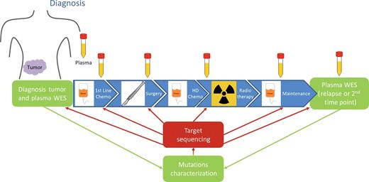 Figure 1. Overview of study design. A WES was realized on primary tumor and cfDNA obtained at diagnosis as well as on cfDNA from a second time point (relapse or after treatment). Sequencing results allowed SNVs and CNA characterization. SNVs were studied at intermediate time points by deep coverage targeted sequencing. Deep coverage targeted sequencing was also performed on primary tumor samples to search for mutations at a subclonal level.