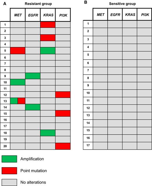 Figure 2. Comparison of AMNESIA panel alterations among resistant (A) and sensitive (B) patients. Point mutations are identified by red, amplifications by green, and negative results by white.