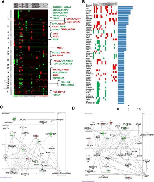 Figure 2. Large-scale genomic alterations in pulmonary NETs identify recurrent alteration in genes with links to NF-κB and MAPK pathways. A, Integration of differential gene expression and CNV showing regions of copy number changes resulting from deletion or amplification with corresponding directional changes in gene expression. Genomic locations are shown on the left, and differentially expressed genes with increased expression in regions of amplification (red) and decreased expression in regions of deletions (green) are listed on the right. Genes listed on the right are involved in ERK and NF-κB pathways and were selected from C and D. B, Frequency of top genes amplified and upregulated (red) and genes deleted and downregulated (green) occurring in at least three samples (Supplementary Table S4). ANOVA P value was <0.05 and |fold change| ≥2. C and D, Genetic interaction network shows differentially expressed genes with copy number changes that are linked to the NF-κB and ERK or MAPK pathways. Green represent downregulated genes, whereas red indicated upregulated genes. Solid lines indicate direct relationships between proteins whiles dotted lines imply indirect interactions.