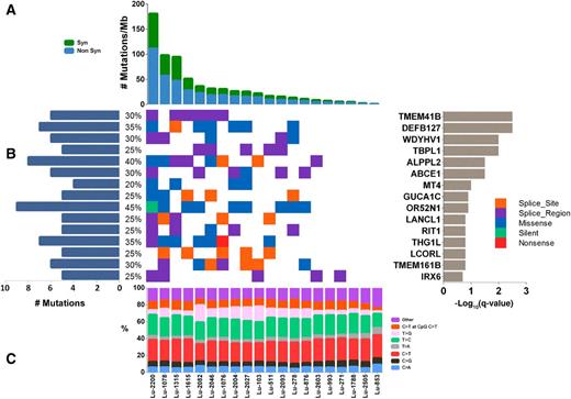 Figure 3. Significantly mutated genes in pulmonary carcinoid tumor. A, A rank of total number of nonsynonymous mutations in individual patients. B, A heat map of mutations in significantly mutated genes color coded by the type of mutations. Right, Top 15 genes with the lowest q-value; Left, histogram showing the percentage of samples with mutations the each of the 15 significantly mutated genes. C, Distribution of base substitutions of each carcinoid sample from mutation signature analysis.