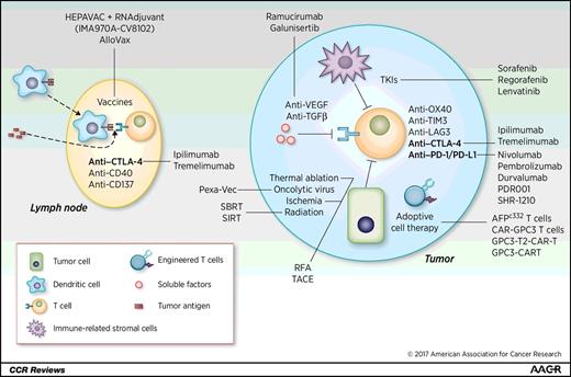 Figure 1. Potential combination therapies based on synergies with and mechanisms of resistance to immune checkpoint inhibitors. Immune-related stromal cells include dendritic cells, Tregs, tumor-associated macrophages, or myeloid-derived suppressor cells. Soluble factors include TGF-β, VEGF, indoleamine 2,3-dioxygenase (IDO), and others. AlloVax (anticancer vaccine consisting of Chaperone Rich Cell Lysate as the source of tumor antigen and activated allogeneic Th1 memory T cells containing cytolytic granules; Immunovatives Therapies); HEPAVAC (IMA970A or multipeptide-based HCC vaccine; Immatics Biotechnologies); Pexa-Vec (JX-594 or pexastimogene devacirepvec; Jennerex Biotherapeutics); RNAdjuvant (CV8102 or RNA-based adjuvant; CureVac). RFA, radiofrequency ablation; TKI, tyrosine kinase inhibitor; SBRT, stereotactic body radiation therapy.